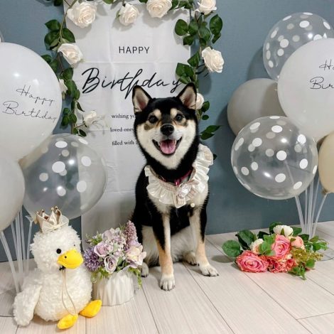 みんなの製作実績54_プリントアイシングクッキー2