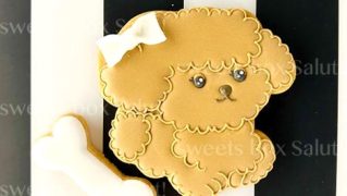 【選べる2種】名入れOK！かわいい犬のアイシングクッキーセット（トイプードル/ダックス）